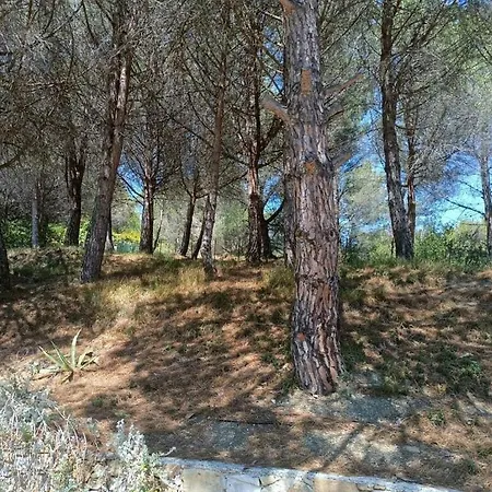 Holiday Gio Limone *